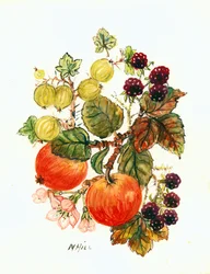 Brambles, Apples and Grapes